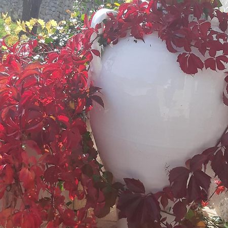 Villa Karmel Valle D'Itria Cisternino Dış mekan fotoğraf