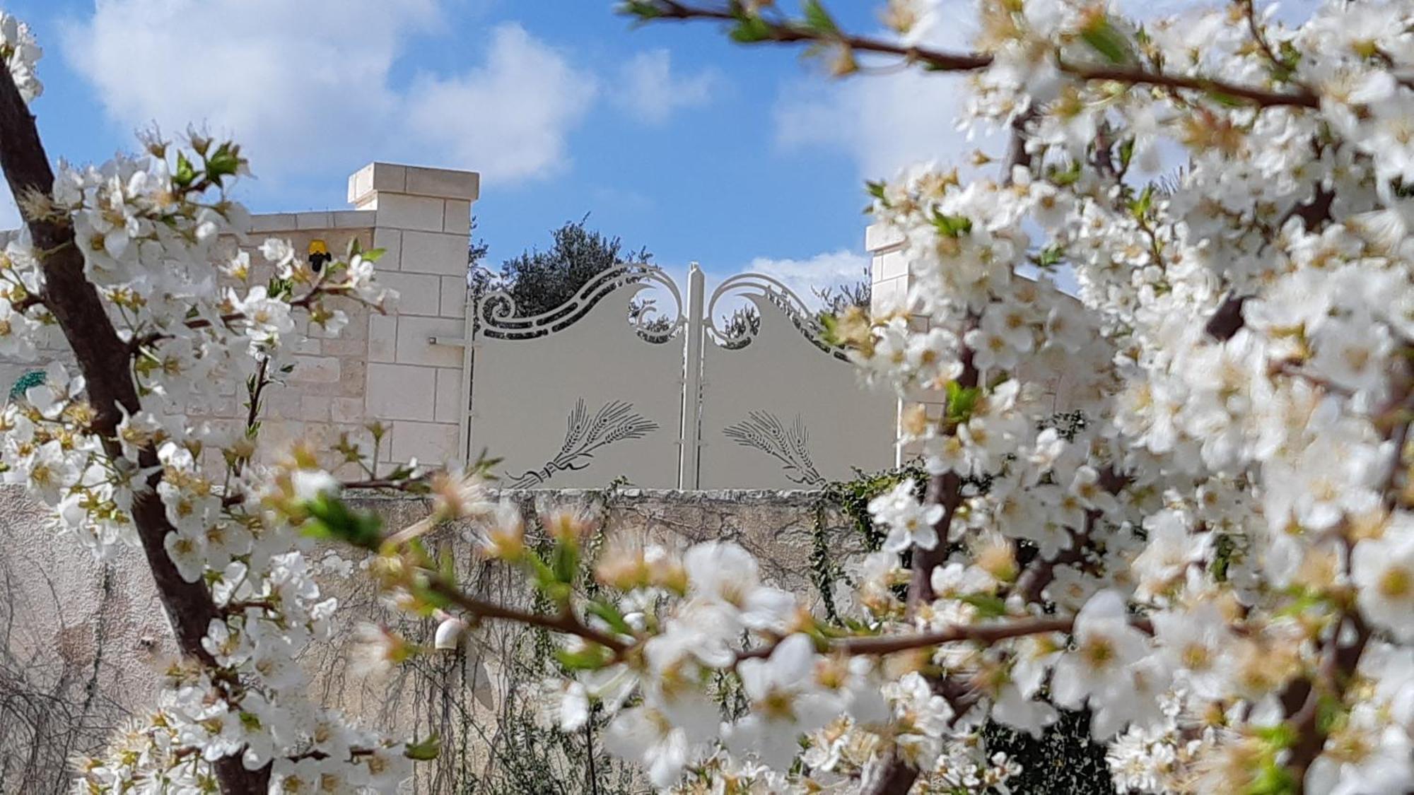 Villa Karmel Valle D'Itria Cisternino Dış mekan fotoğraf
