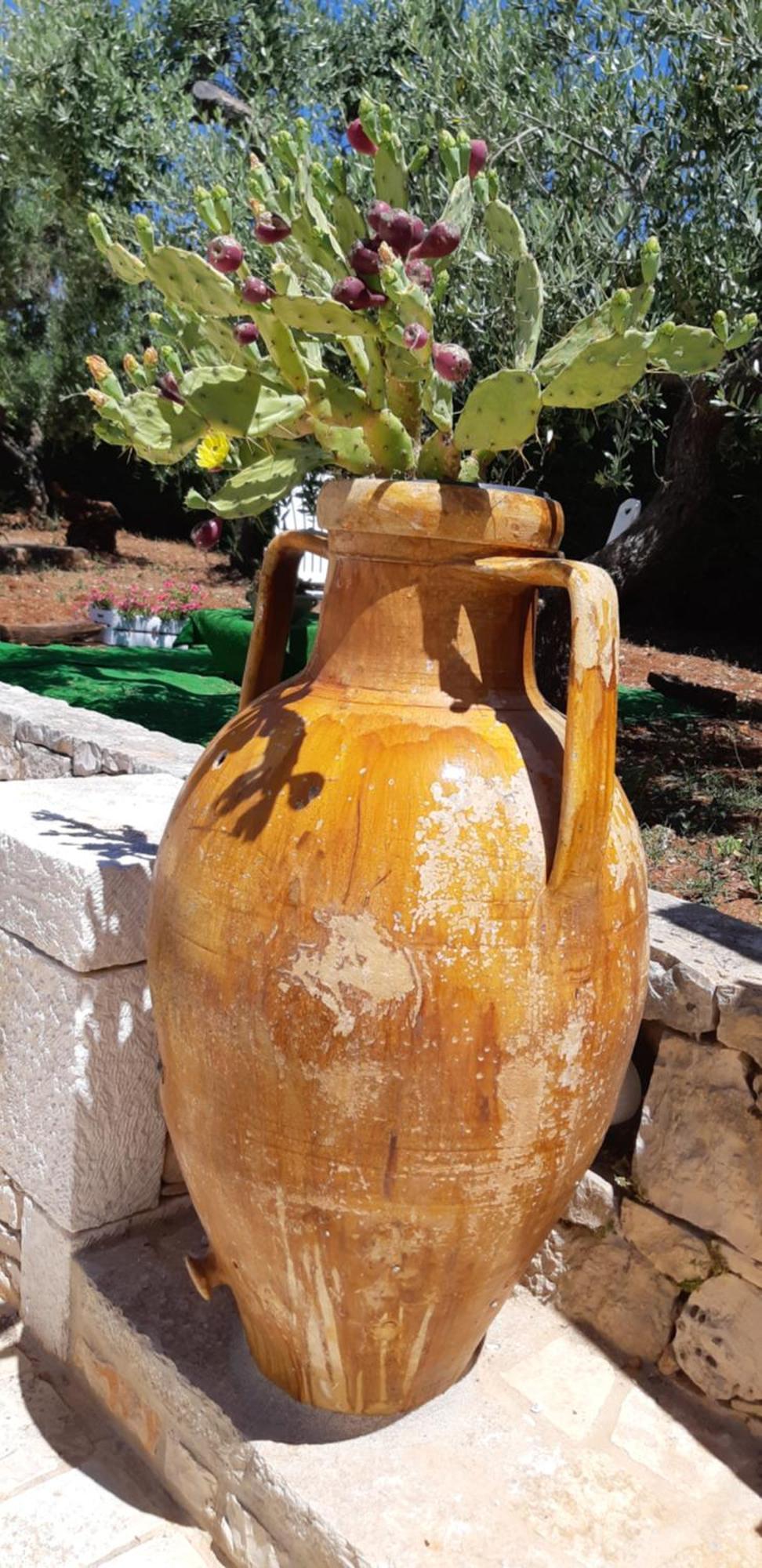 Villa Karmel Valle D'Itria Cisternino Dış mekan fotoğraf