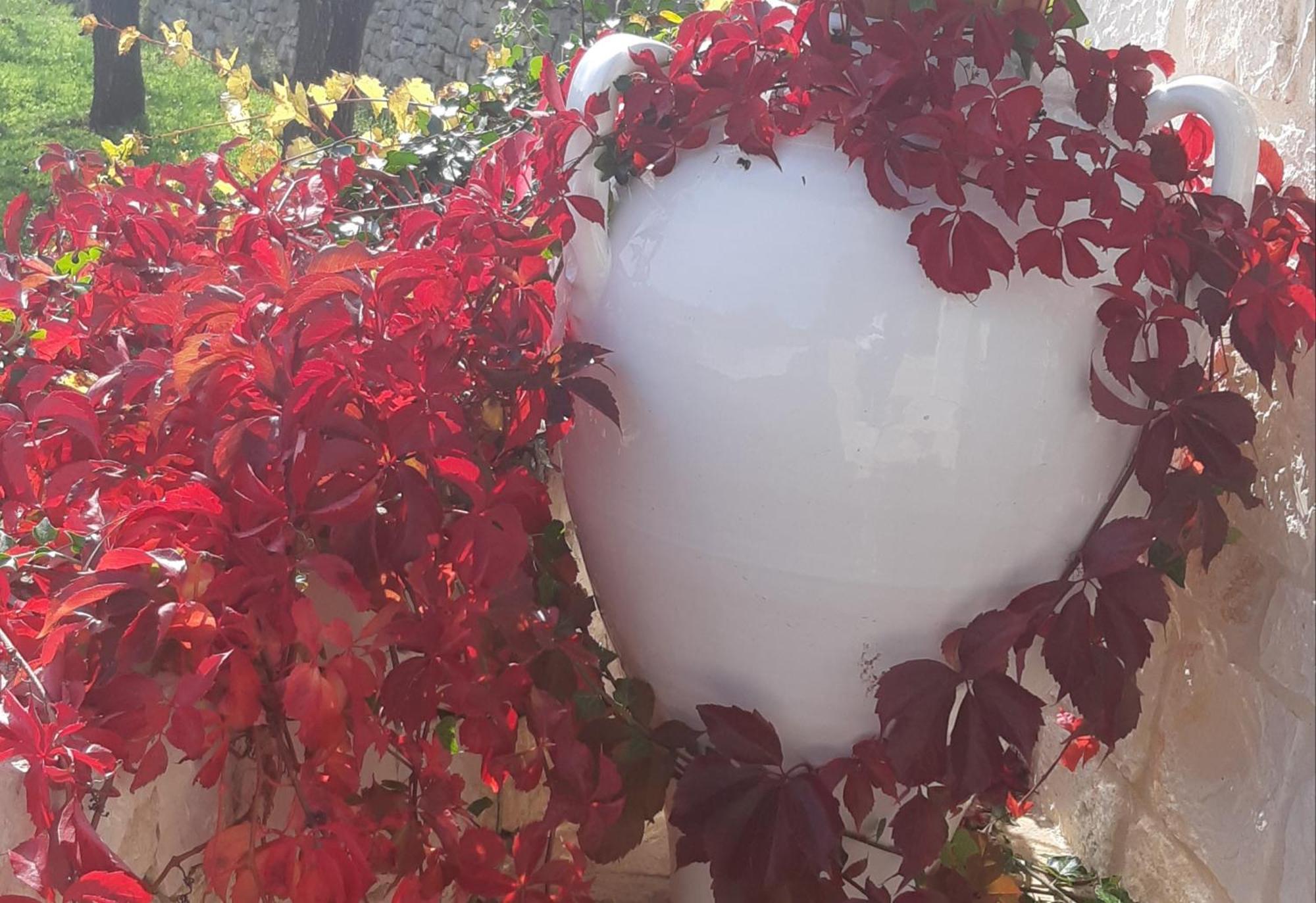 Villa Karmel Valle D'Itria Cisternino Dış mekan fotoğraf